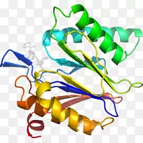 车身珠宝厂茎线剪贴画线-空若网 车身珠宝厂茎线剪贴画线-空若网