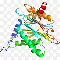 人体珠宝线有机体剪贴画线-空若网 人体珠宝线有机体剪贴画线-空若网