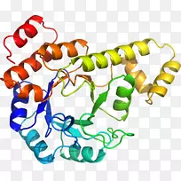 人体首饰有机体线剪贴画线-空若网 人体首饰有机体线剪贴画线-空若网