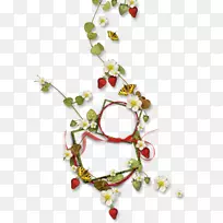 水果-空若网 水果-空若网