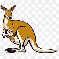 澳大利亚袋鼠考拉剪贴画-澳大利亚-空若网 澳大利亚袋鼠考拉剪贴画-澳大利亚-空若网
