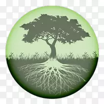 生命之树-树根-空若网 生命之树-树根-空若网