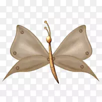 蝴蝶-空若网 蝴蝶-空若网