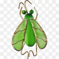 昆虫蝴蝶传粉虫翅蜂-空若网 昆虫蝴蝶传粉虫翅蜂-空若网