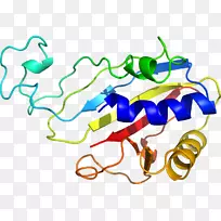 �ߵ������������-������