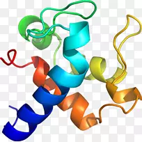 人体珠宝剪贴画.设计-空若网 人体珠宝剪贴画.设计-空若网
