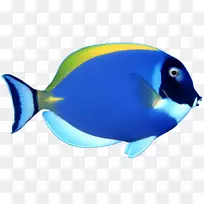 ���������-��-������