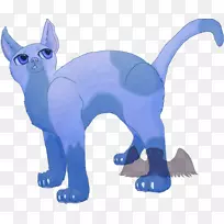 猫狗,犬科,鼻子,尾猫-空若网 猫狗,犬科,鼻子,尾猫-空若网