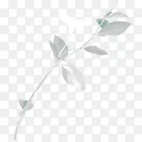 叶-空若网 叶-空若网