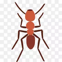 ÉãÓ°ÖÆÍ¼Éè¼Æ-¿ÕÈôÍø ÉãÓ°ÖÆÍ¼Éè¼Æ-¿ÕÈôÍø