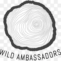 Բ���ɫ����-������