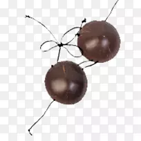 草裙,草裙舞,莱伊,夏威夷-空若网 草裙,草裙舞,莱伊,夏威夷-空若网