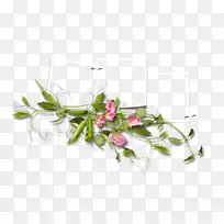 花卉设计平面设计博客-设计-空若网 花卉设计平面设计博客-设计-空若网