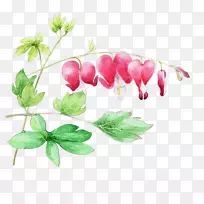 ˮ�ʻ�ˮī��-������