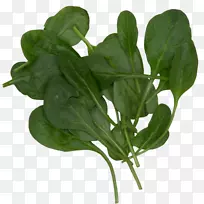 奶昔菠菜叶类蔬菜食物-空若网 奶昔菠菜叶类蔬菜食物-空若网