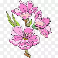 ��������л�����ֲ�ﾥ��-������