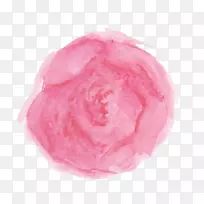 花园玫瑰、蜈蚣玫瑰、英国玫瑰、花瓣水彩画-空若网 花园玫瑰、蜈蚣玫瑰、英国玫瑰、花瓣水彩画-空若网