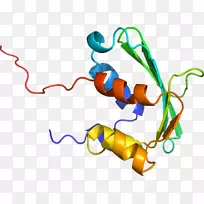 �ߵ������������-������