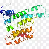 生物线动物剪贴画线-空若网 生物线动物剪贴画线-空若网