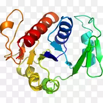 �����鱦���л����������-������