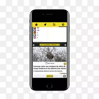 智能手机功能手机Android KitKat-智能手机-空若网 智能手机功能手机Android KitKat-智能手机-空若网