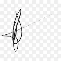 ��������ǶԳ���-������