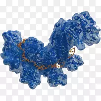 CRISPR Cas9基因组编辑分子生物学-科学-空若网 CRISPR Cas9基因组编辑分子生物学-科学-空若网