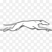 灰猎犬线标志澳大利亚灰狗运输信息-信息-空若网 灰猎犬线标志澳大利亚灰狗运输信息-信息-空若网