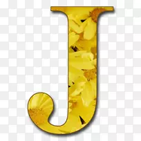 ��ĸ��Сд��ĸ��j����-������