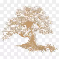 ��Ӱ��Ӧ��ҳ���ģ�岩����ʶ-������