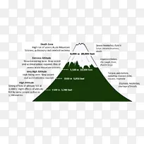 ֽ����������-������