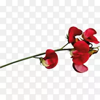 ���˽��������������-���˽�-������