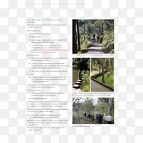 ���ֲ�-��-������