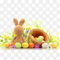 �����������Ӱ������ڲʵ���Ӱ������-�����ĸ���ڹ��Ԫ��-������