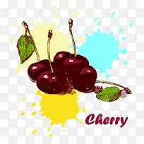 ӣ�Ҳ�ͼ-ӣ��-������