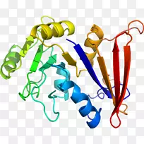 人体首饰有机体线剪贴画线-空若网 人体首饰有机体线剪贴画线-空若网