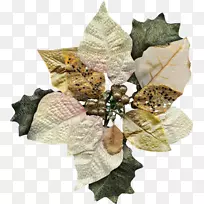 Ê¥µ®×°ÊÎÀñÆ·ÅɶÔ-Ê¥µ®½Ú-¿ÕÈôÍø Ê¥µ®×°ÊÎÀñÆ·ÅɶÔ-Ê¥µ®½Ú-¿ÕÈôÍø