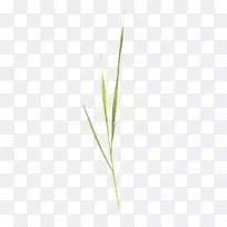 ��Ҷ��ͼ��-װ�α�������-������