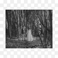 百友摄影白色-空若网 百友摄影白色-空若网