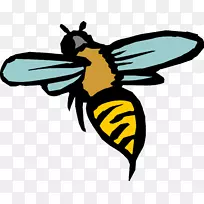 ÃÛ·äÀ¥³æ¶¯»¼ôÌù»¿¨Í¨ÃÛ·ä-¿ÕÈôÍø ÃÛ·äÀ¥³æ¶¯»¼ôÌù»¿¨Í¨ÃÛ·ä-¿ÕÈôÍø