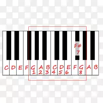 ���ָ��٣���ͨ�����٣�����-������