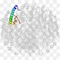 树型树-空若网 树型树-空若网