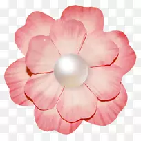 �������ͼ�����-������