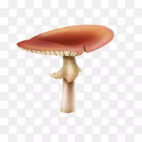 香菇-空若网 香菇-空若网