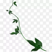 花瓣插花艺术-空若网 花瓣插花艺术-空若网