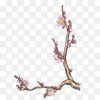 ӣ������.150����v.unc.nr�Ϳ���ֲ��-ӣ��-������