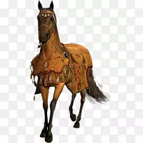 中年马骑野马博客-野马-空若网 中年马骑野马博客-野马-空若网