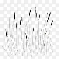 ���������ݽ���-������