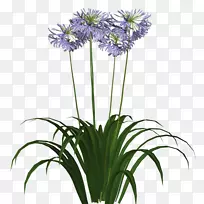 �������ͼ-������