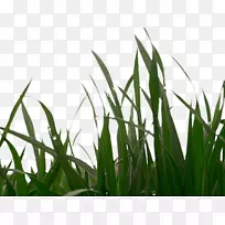 �����-������